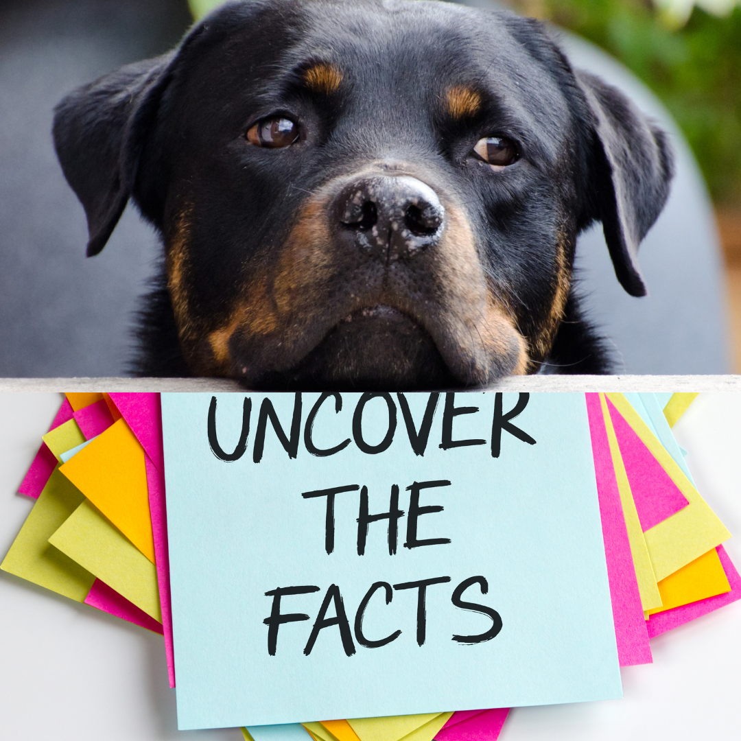 Top 50 interesting facts about Animals Top 50 interesting facts about Animals