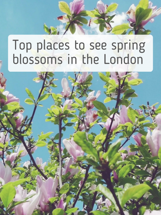 Top places to see spring in London